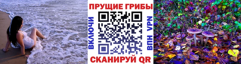 нарко площадка официальный сайт  Куса  Псилоцибиновые грибы ЛСД  закладка 